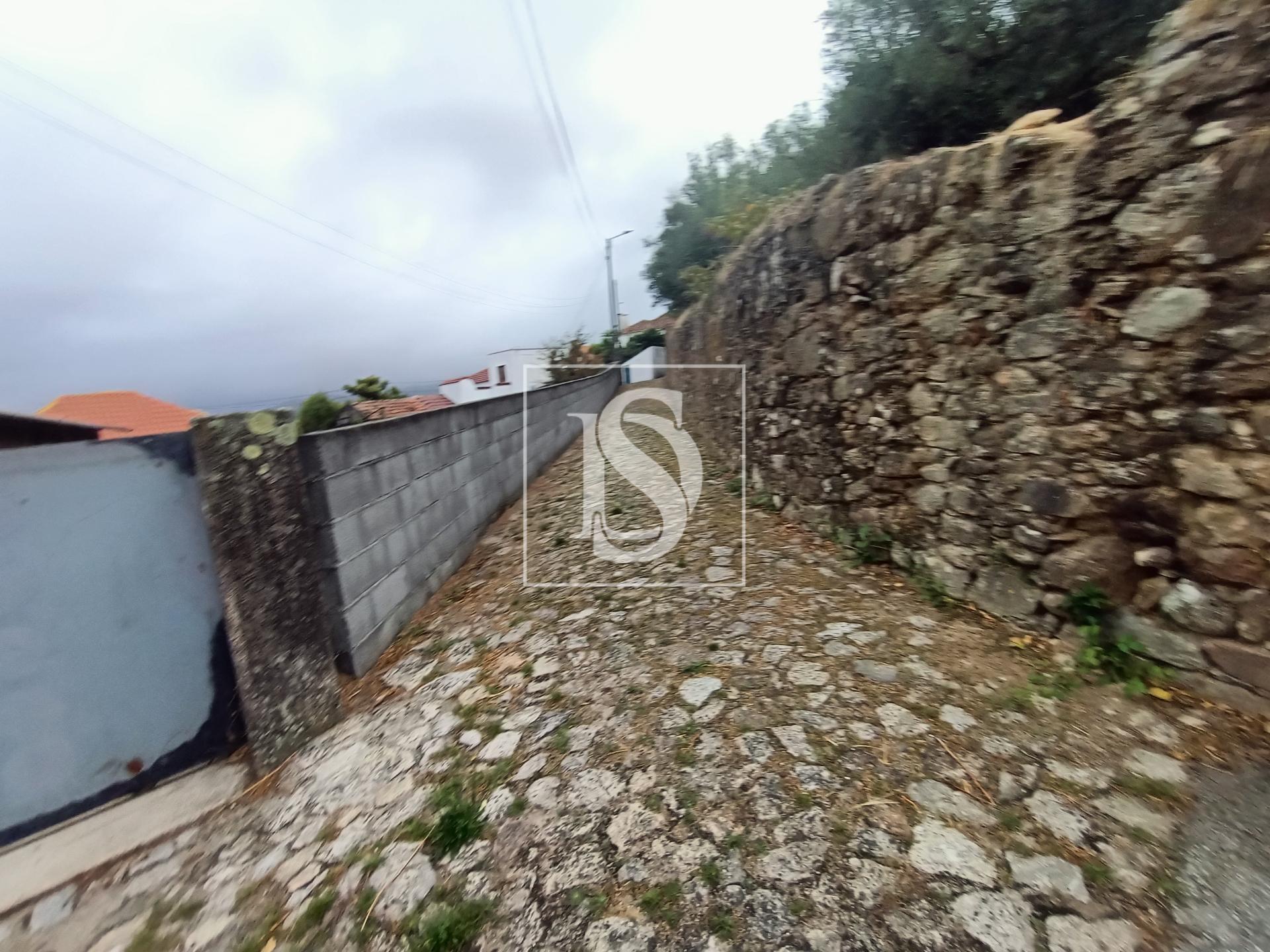 Terreno T3