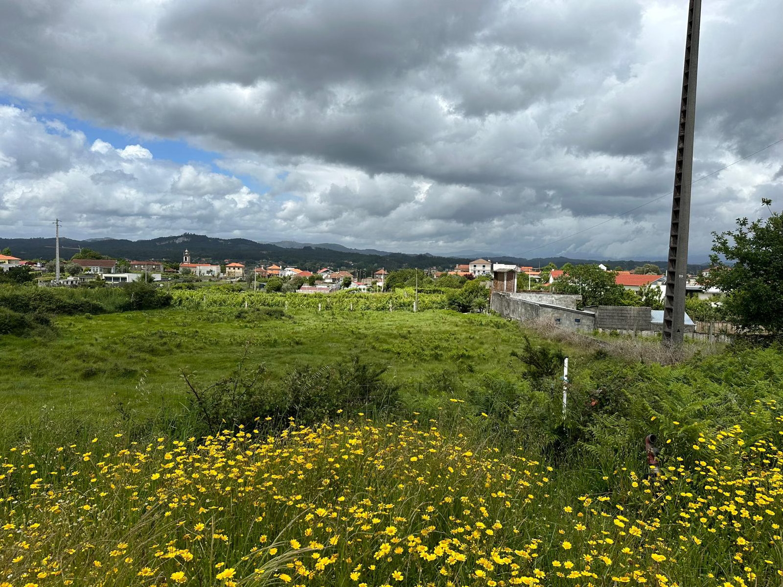 Terreno