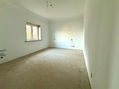 Quinta T5+1
